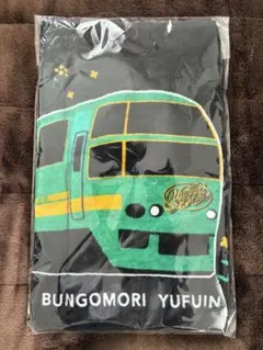 激レア⁈JR九州 穴あけ未加工銘板　ゆふいんの森エンブレムまとめ売り 激レア⁈JR九州 穴あけ未加工銘板 ゆふいんの森エンブレムまとめ