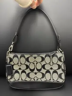 COACH コーチ アクセサリーポーチ シグネチャー キャンバス レザー