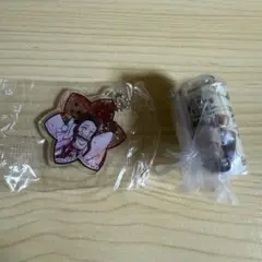 鬼滅の刃 竈門禰豆子