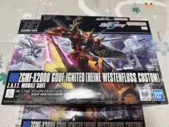 HG 1/144 グフイグナイテッド ハイネ専用機　3個セットのサムネイル