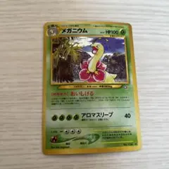 メガニウム 旧裏 5枚セット メガニウム 旧裏 1枚の通販 YH（2090147746） | magi