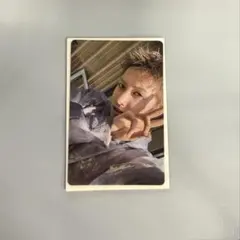 cortis マーティン トレカ