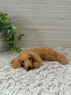 羊毛フェルト ♡ミニチュアダックス♡