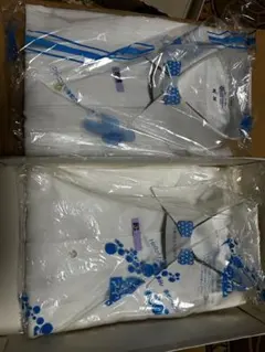 Item thumbnail for item 43124553-c104-43b1-9bb3-1096fc6df124