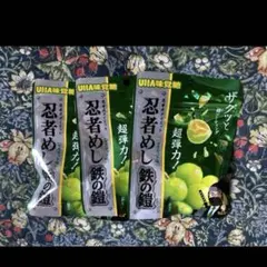 2026年最新】忍者めし鉄の鎧の人気アイテム - メルカリ