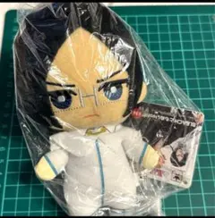 2026年最新】石田雨竜 ともぬいの人気アイテム - メルカリ