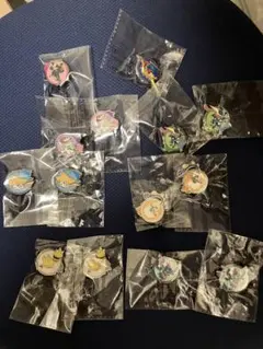 ポケモンWCS2026 ピンラリー 12種 コンプリートセット - メルカリ
