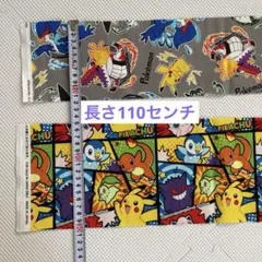 ポケモン　キャラクター生地 はぎれ