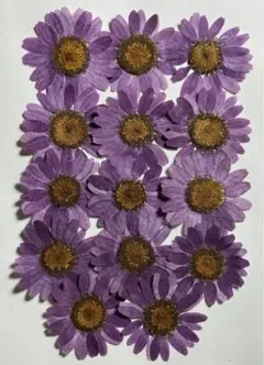 Item thumbnail for item 572342a3-3952-4ae8-a3cb-2370c3ab2ceb