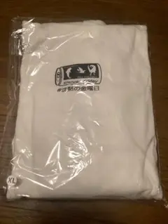 Item thumbnail for item 6f359838-9644-40d6-9b2e-3ba867690b16