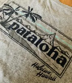 ハワイ購入パタゴニアpatalohaオーガニックコットン100%Tシャツのサムネイル