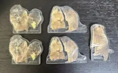 マーモット　アクリルマスコット