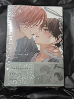 2025年最新】ピットスポルム漫画の人気アイテム - メルカリ