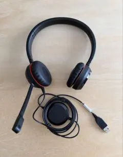 Jabra EVOLVE 20 MS SE 有線 ヘッドセット マイク付きのサムネイル