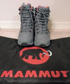 Item thumbnail for item 62a3d0c3-d003-4462-b150-ba1655124e9f