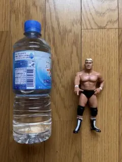 ノーフィアー大森隆男・高山善廣NOFEARフィギュアNOAH - メルカリ