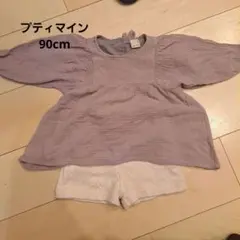 プティマイン セットアップ 90