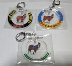 JRA Welcomeチャンス ソウルラッシュ　テーオーロイヤル　チェルヴィニア