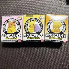 ポケモンキッズ 30周年スペシャルvol.2編 3種類セット　新品未開封 新発売