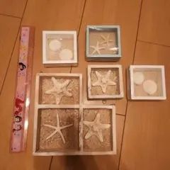 貝殻の小物セット