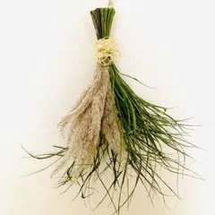 真菰茅の輪 夏越の祓え 茅の輪くぐり マコモ 茅の輪 まこものちのわ