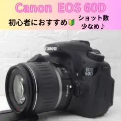 Canon EOS 60D✨運動会に✨超望遠レンズ✨ハイアマチュアに大人気 Canon EOS 60D✨運動会におすすめ✨超望遠レンズ✨ハイアマチュア