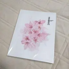 【未開封】SnowMan 滝沢歌舞伎ZERO FINAL パンフレット