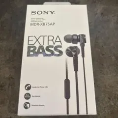 未開封(変色)Pioneer RAYZ PLUS Lightning有線イヤホン - メルカリ
