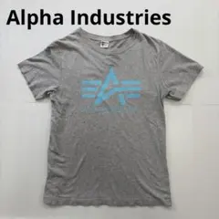 アルファインダストリーズロゴTシャツ Mグレー Alpha Industriesのサムネイル