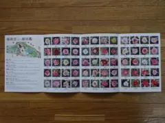 Item thumbnail for item 53b6e202-5452-4495-943a-89414d74f78d