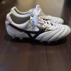 【匿名配送】MIZUNO モレリア 2Japan 25.0cm