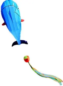 クジラ　凧揚げ　カイト