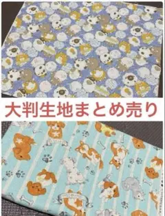 Item thumbnail for item 3a122144-cc8f-4417-bfb1-7e4fca45ce3c