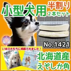 小型犬用 エゾ鹿の角 大きめ2本 北海道産 蝦夷鹿 犬のおもちゃ 11222