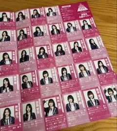 日プ女子　vivi 11月号付録　練習生名鑑ポスター　海老原鼓ちゃんのみなしのサムネイル