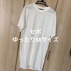 Item thumbnail for item 69d2187b-8fee-4d68-a932-c29ef1f5152a