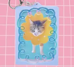 poms. アクリルトレカケース