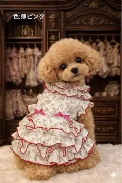 可愛い犬服・猫服 ワンピース ハンドメイド - メルカリ