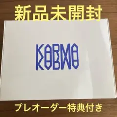 【新品未開封】Stray Kids KARMA 通常盤 アルバム