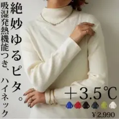 antiquaアンティカ吸湿発熱ヒートリブインナー ニットハイネックM黒