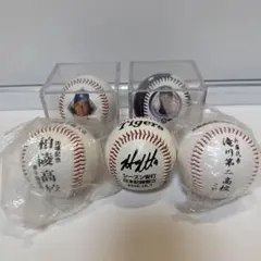 野球ボール 記念グッズ