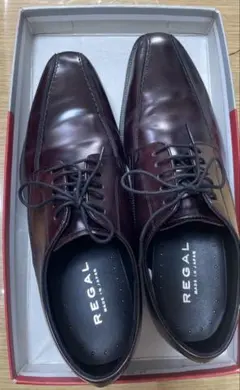 Item thumbnail for item 225db5b4-0374-48dc-8210-f9ba0599d718