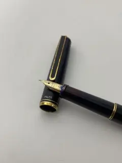 PILOT 万年筆 14K-585 Fニブ 廃盤 - メルカリ