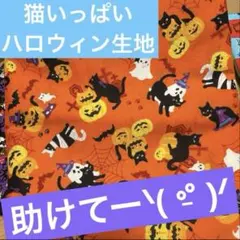 こげちゃすずめ断捨離中様 リクエスト 2点 まとめ商品
