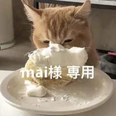 mai様 専用