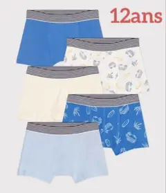 新品 未使用 プチバトー トランクス サーフボード バス ５枚組 12ans