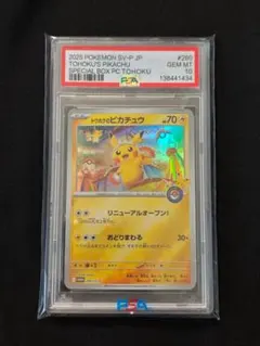 2026年最新】トウホクのピカチュウ psa10の人気アイテム - メルカリ