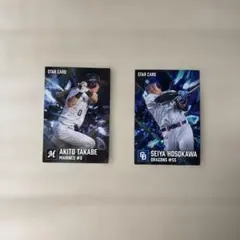 カルビー プロ野球チップス 2026 STAR CARD 2枚セット