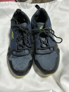 Item thumbnail for item 25bc187b-2fd9-4e5b-8abd-c3597455eef6