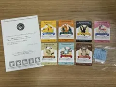 ポケモンセンターオンライン ミニゲーム B賞 会員証風カード 11枚